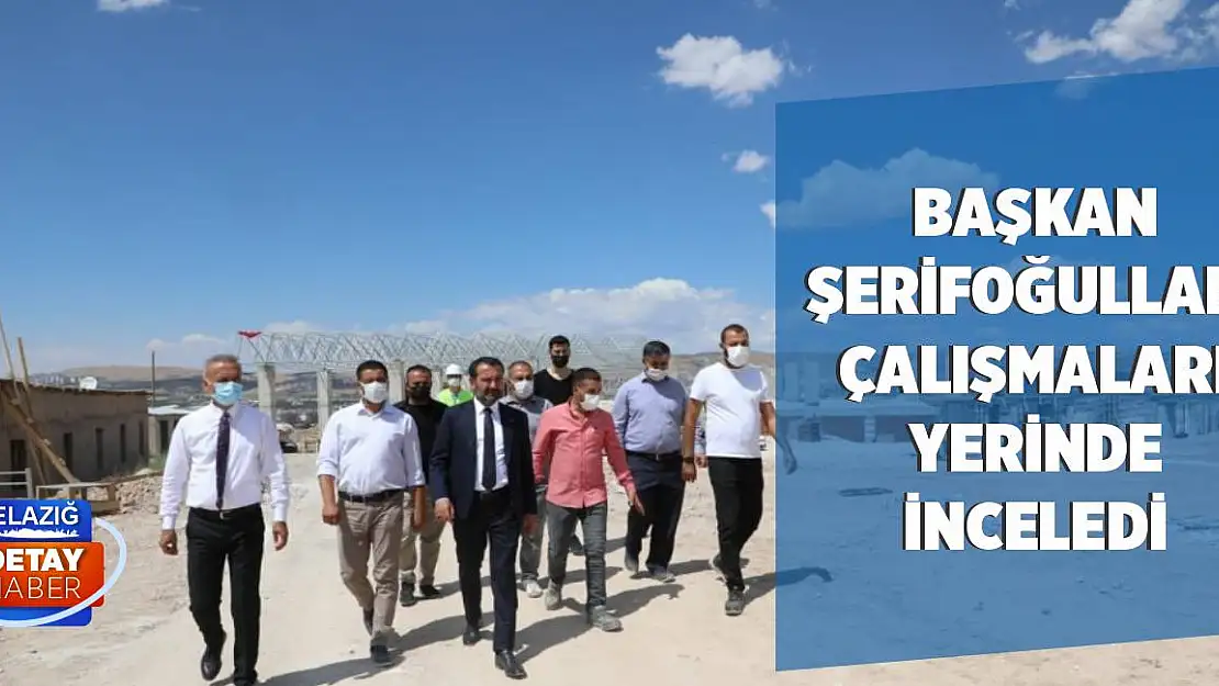 Başkan Şerifoğulları Çalışmaları Yerinde İnceledi