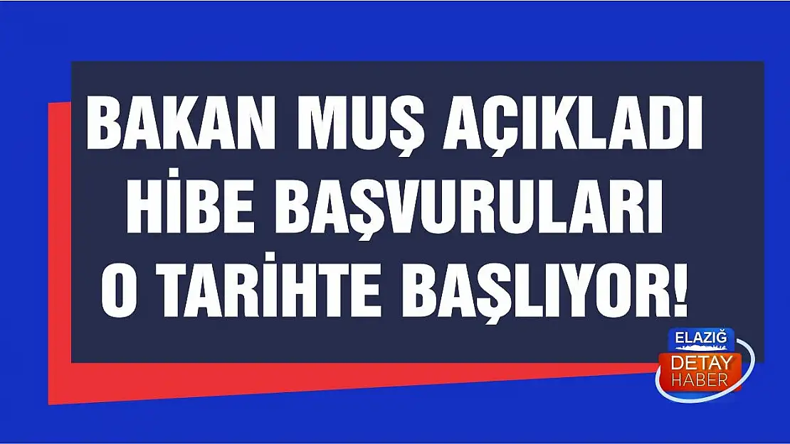 Esnafa hibe başvurusu 25 Mayıs'ta başlıyor