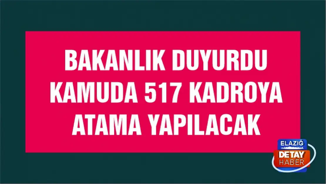 Bakanlık duyurdu Kamuya 517 kadroya atama yapılacak