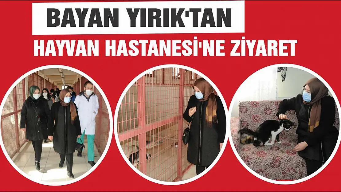 Bayan Yırık'tan Hayvan Hastanesi'ne Ziyaret