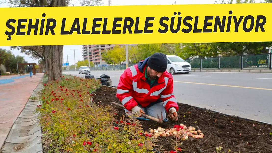 Elazığ Belediyesi, Lale Soğanı Dikimine Başladı