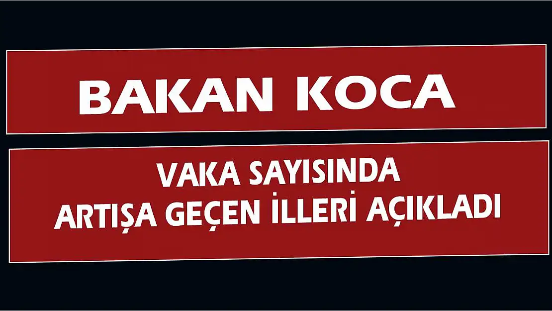 Bakan Koca vaka sayısında artışa geçen illeri açıkladı