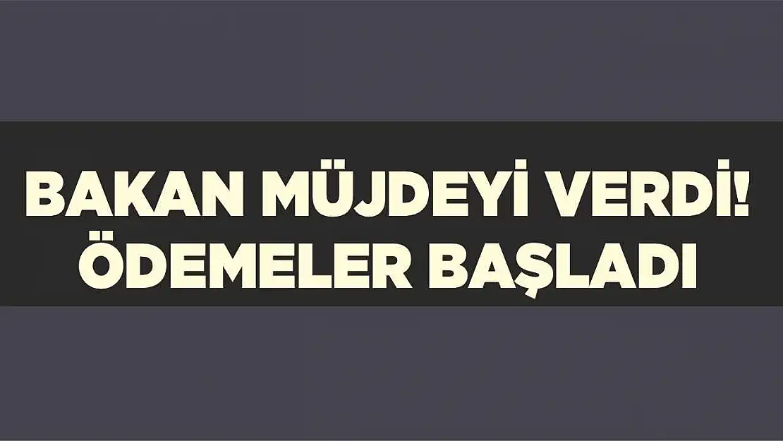 Bakan müjdeyi verdi! ödemeler başladı