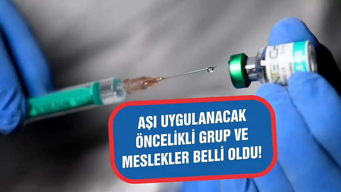 Aşı uygulanacak öncelikli grup ve meslekler belli oldu!