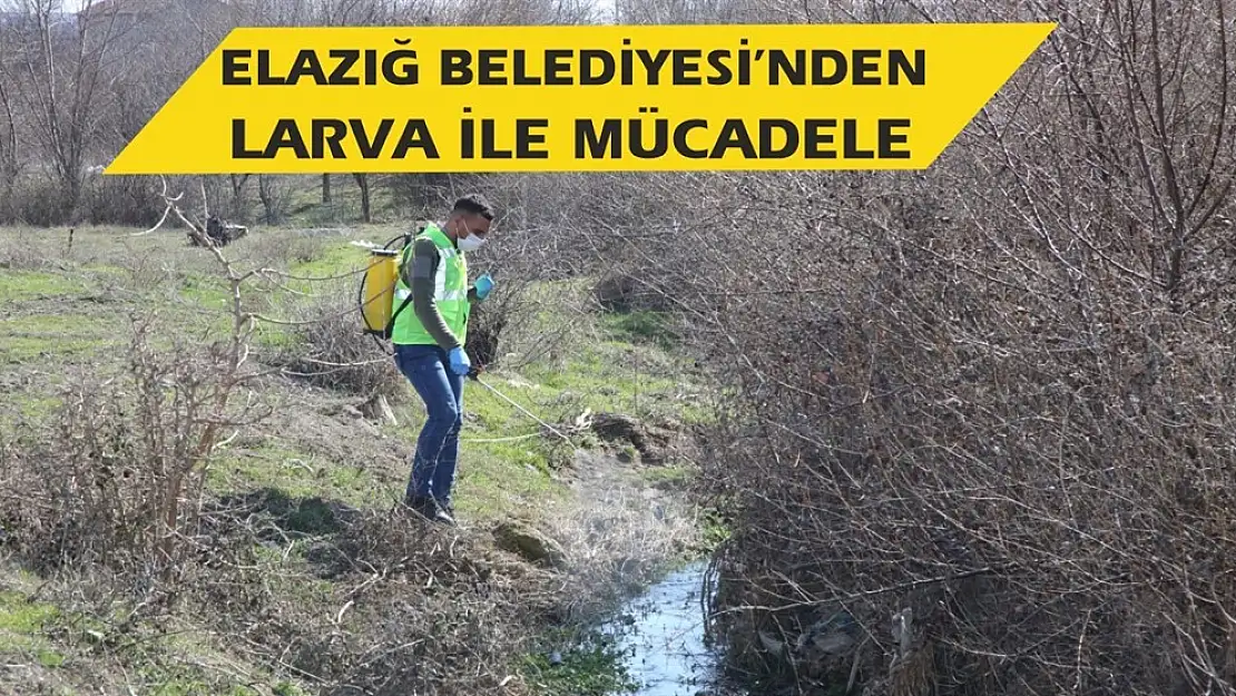 Elazığ Belediyesi'nden Larva İle Mücadele