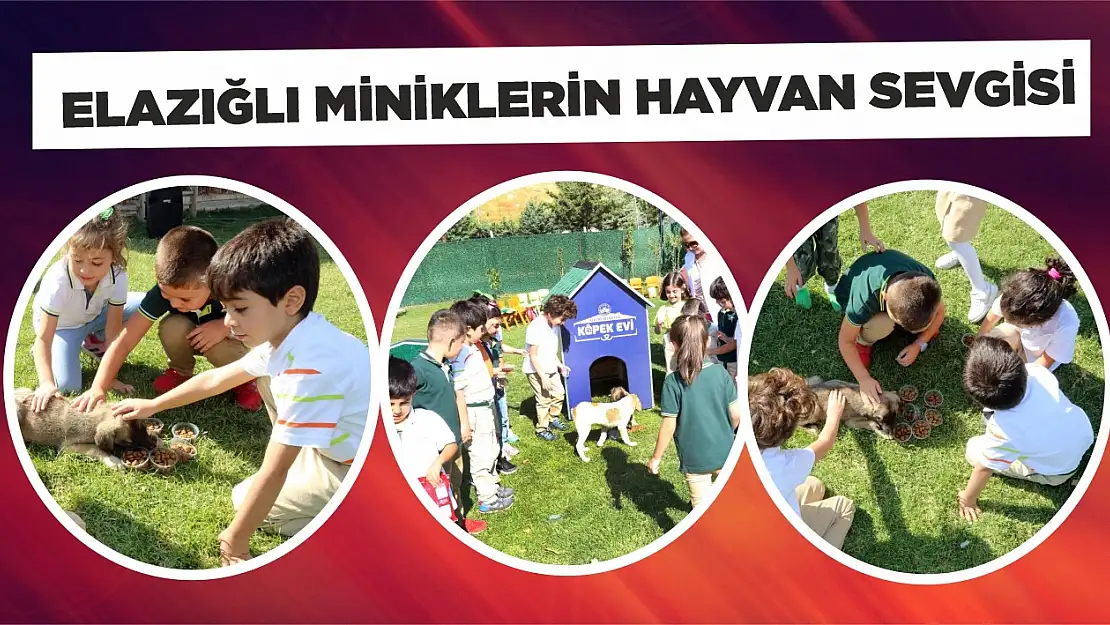 Elazığlı Miniklerin Hayvan Sevgisi