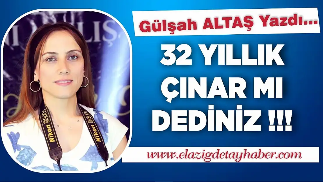 32 Yıllık Çınar Mı Dediniz!!!