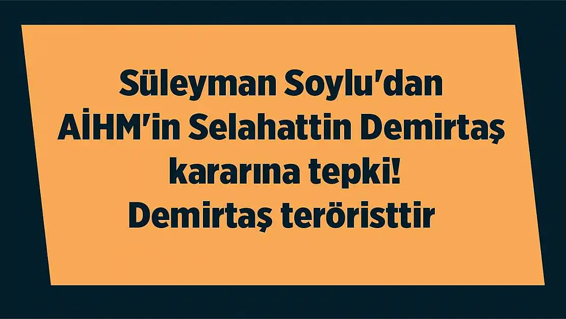 Süleyman Soylu'dan AİHM'in Selahattin Demirtaş kararına tepki! Demirtaş teröristtir