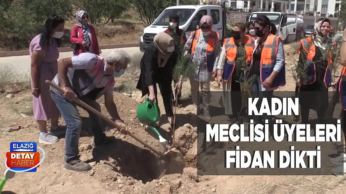 Kadın Meclisi Üyeleri Fidan Dikti