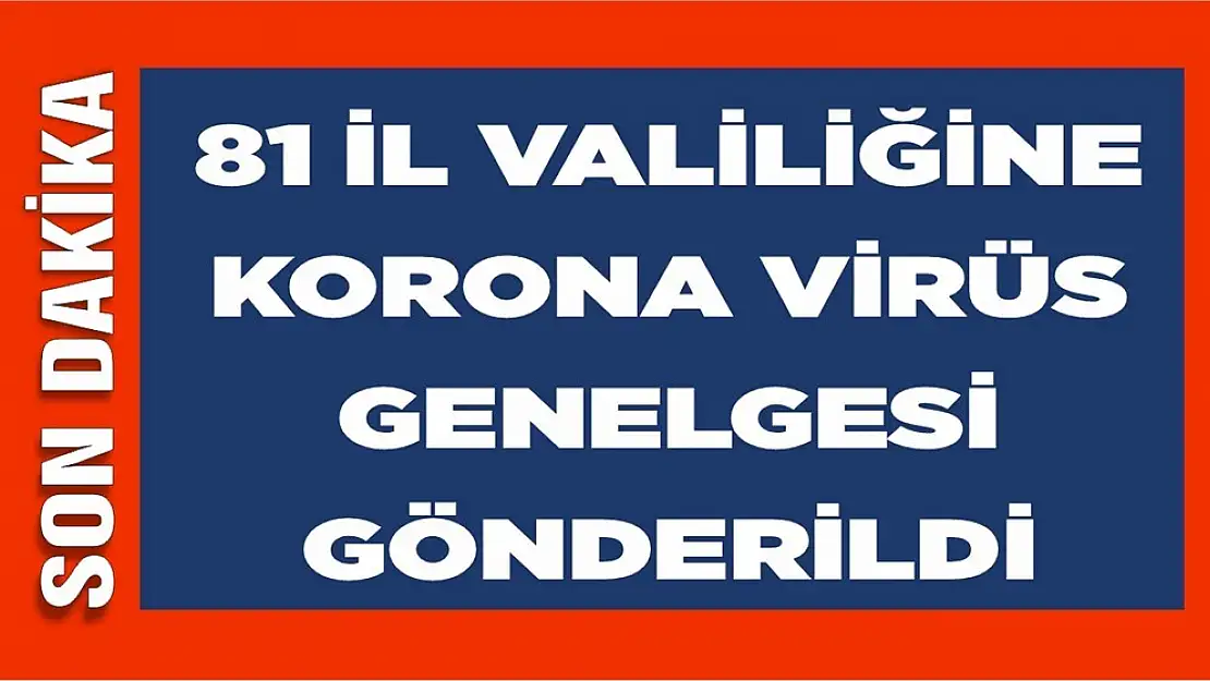 81 il valiliğine koronavirüs genelgesi!