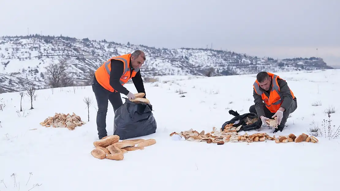 Elazığ Belediyesi'nden yaban ve sokak hayvanlarına mama desteği sürüyor