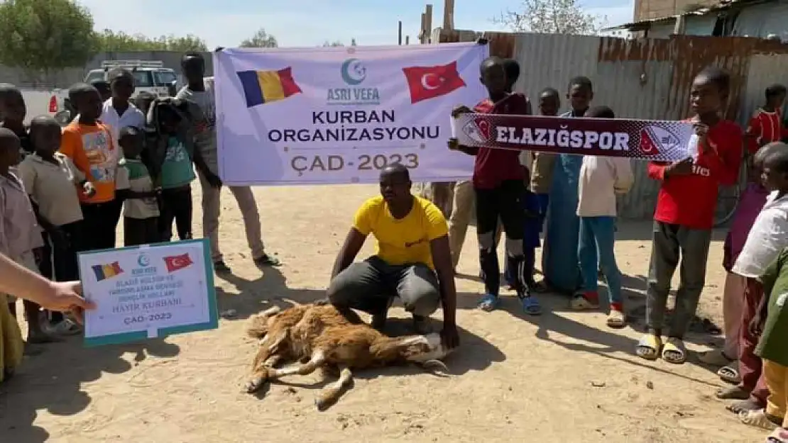 Elazığ'dan Çad'a kurban bağışı 