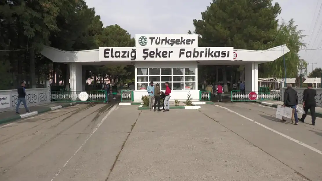 Elazığ Şeker Fabrikası'nda kaç ton pancar işlenecek