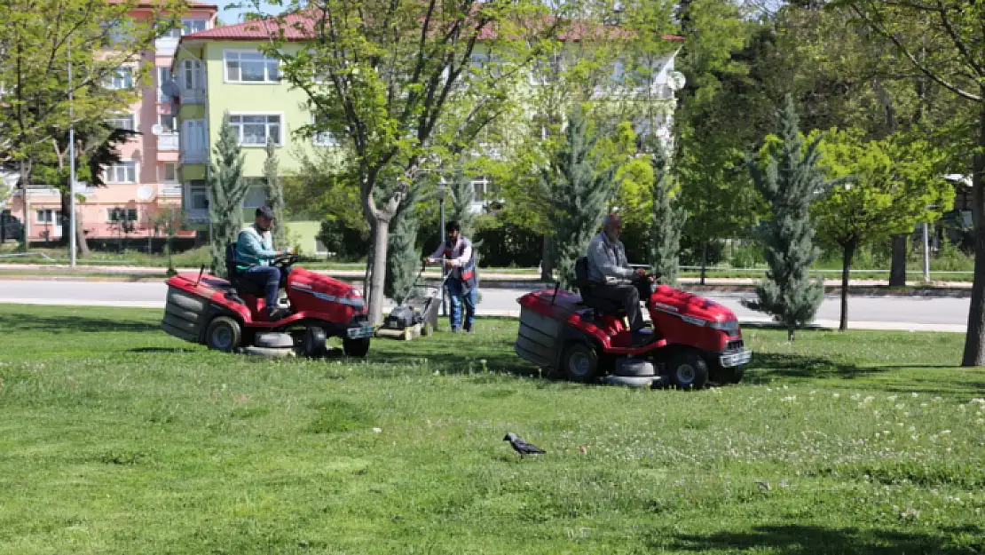 Elazığ yeşil bir yaz mevsimine hazırlanıyor