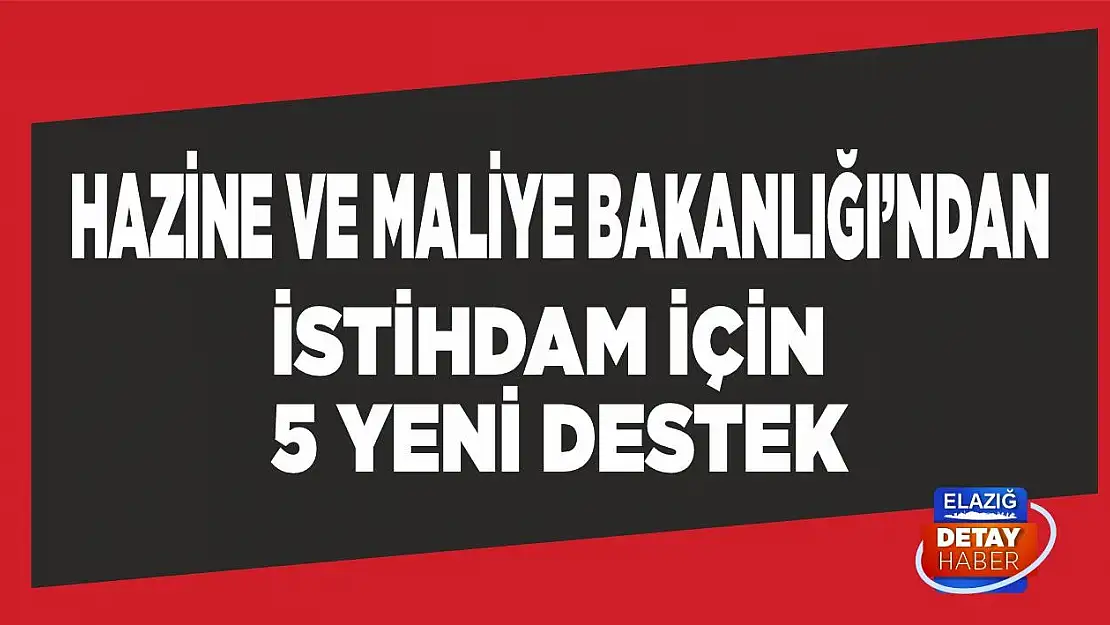 Hazine ve Maliye Bakanlığından istihdam için 5 yeni destek