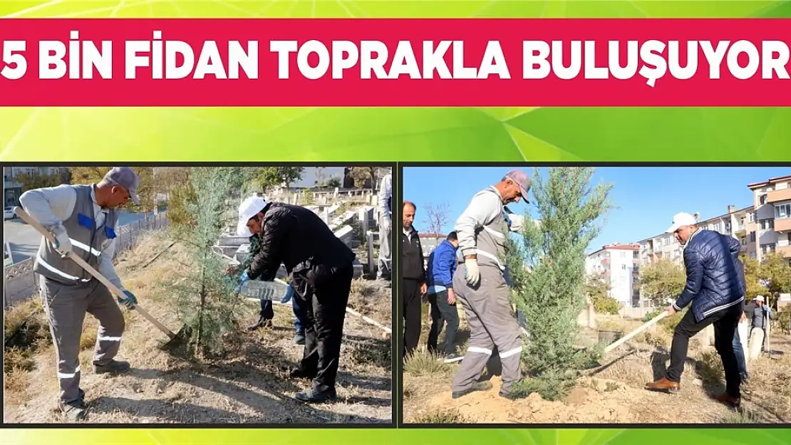 Mezarlık Alanlarında 5 Bin Fidan Toprakla Buluşuyor