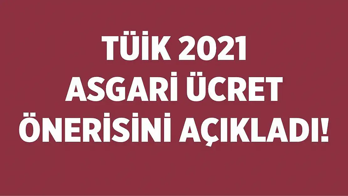 TÜİK 2021 asgari ücret önerisini açıkladı!