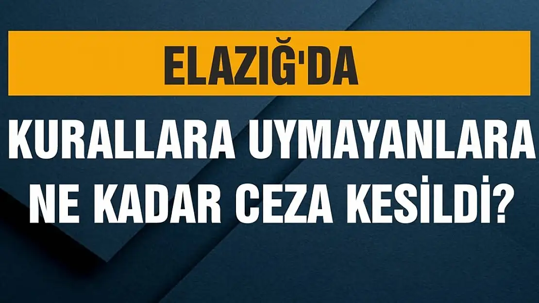 Elazığ'da Kurallara Uymayanlara Ceza Yağdı