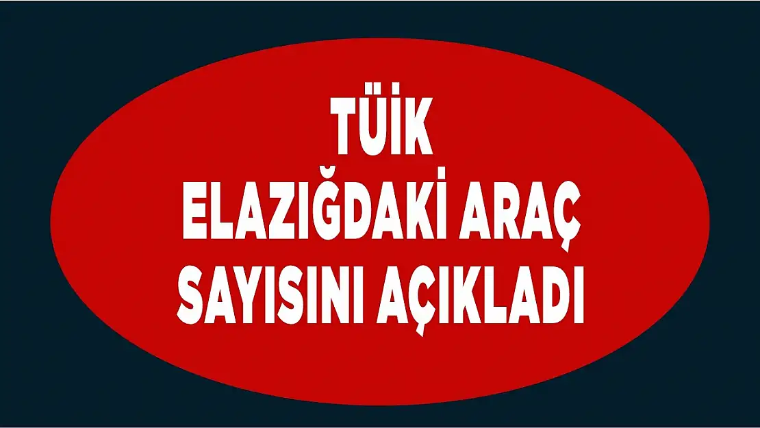 TÜİK Elazığ'ın Araç Sayısını Açıkladı