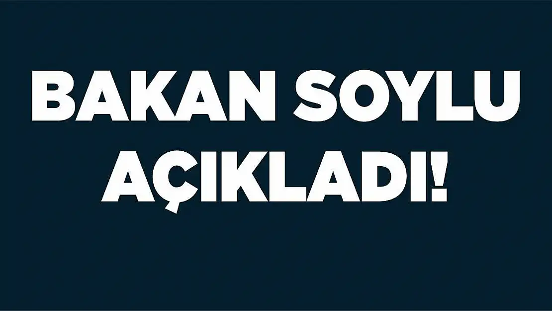 Bakan Soylu açıkladı!