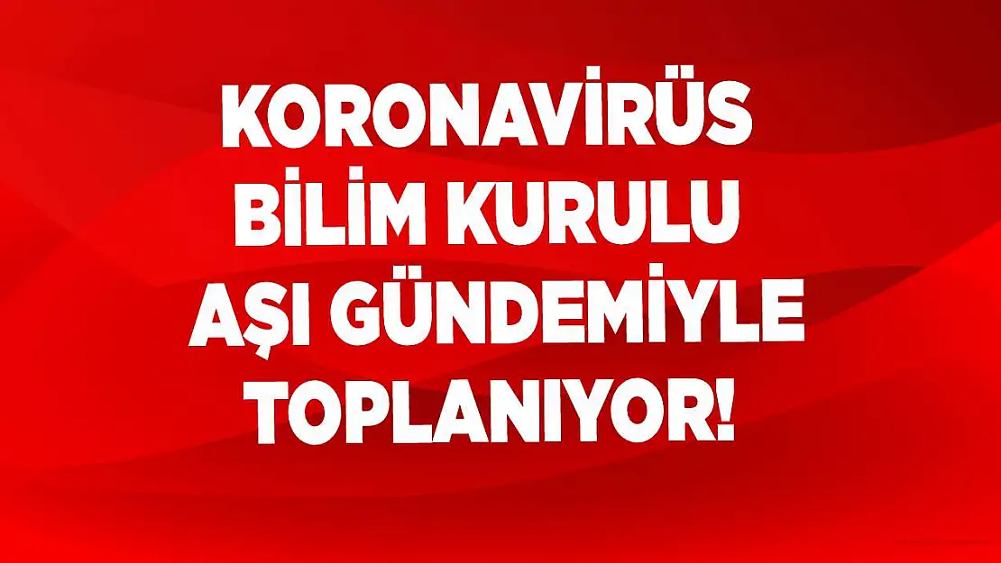 Koronavirüs Bilim Kurulu aşı gündemiyle toplanıyor!