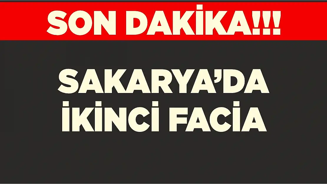 Sakarya'da ikinci facia!