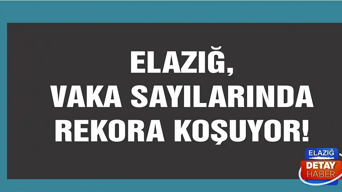 Koronavirüs Vaka Sayısında Rekora Koşuyoruz