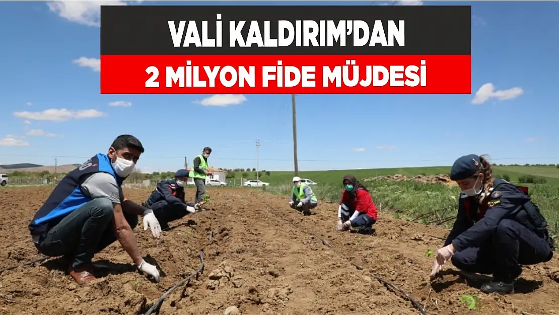 Vali Kaldırım'dan 2 milyon fide müjdesi!