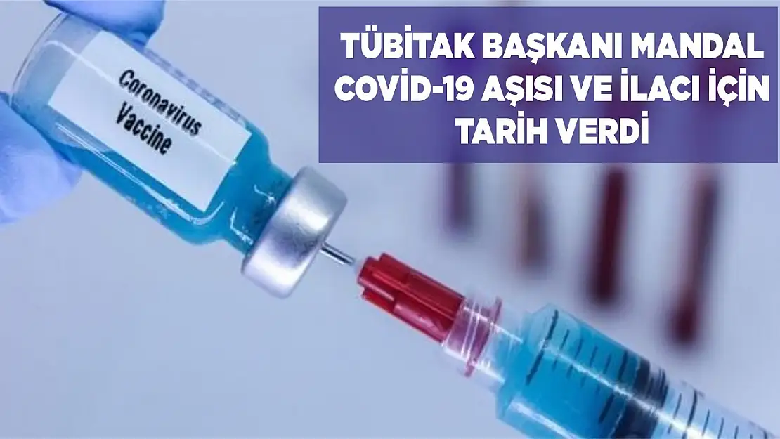 TÜBİTAK Başkanı Mandal, Covid-19 aşısı ve ilacı için tarih verdi