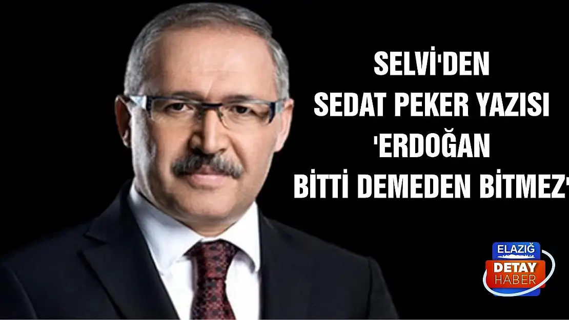 Selvi'den Sedat Peker yazısı 'Erdoğan bitti demeden bitmez'