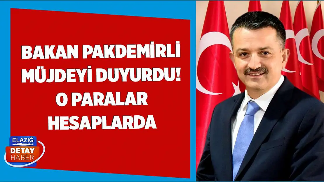 Bakan Pakdemirli müjdeyi duyurdu! O paralar hesaplarda