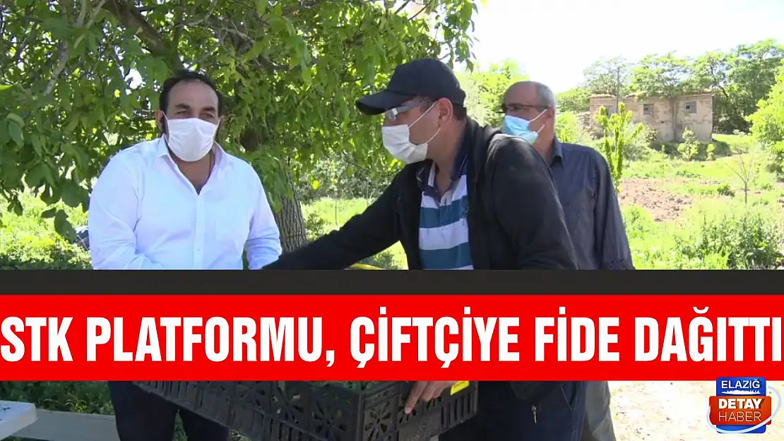 STK Platformu, Çiftçiye Fide Dağıttı