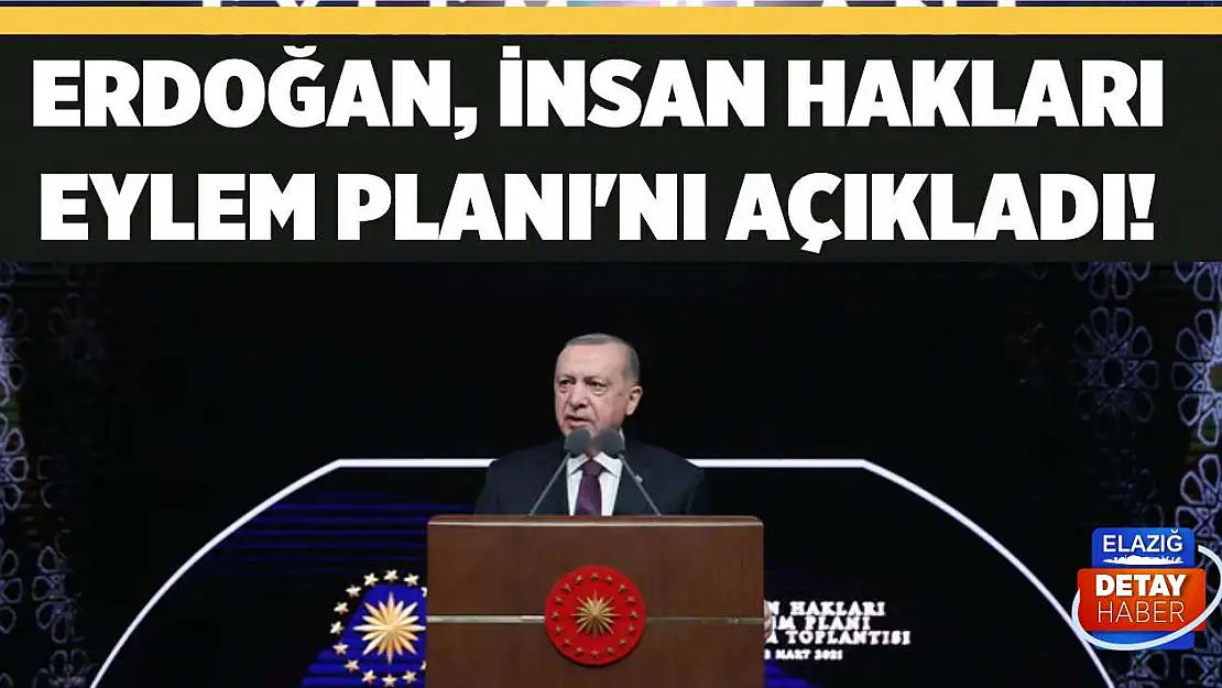 Erdoğan, İnsan Hakları Eylem Planı'nı açıkladı!