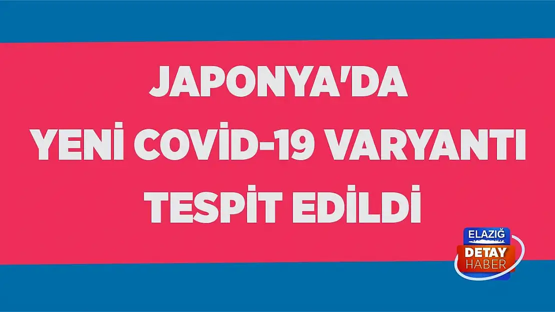 Japonya'da yeni Covid-19 varyantı tespit edildi