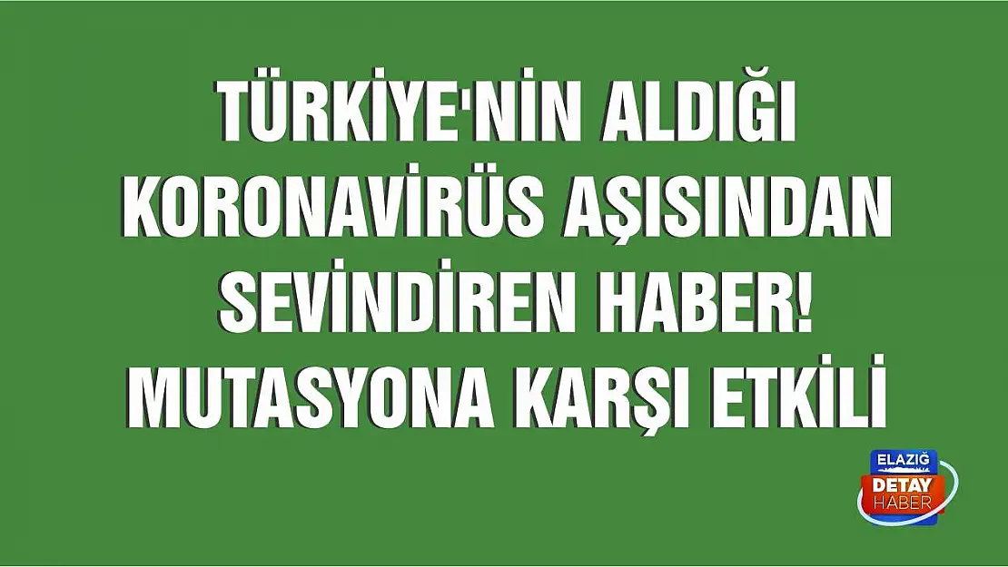 Türkiye'nin aldığı Çin koronavirüs aşısından sevindiren haber! 