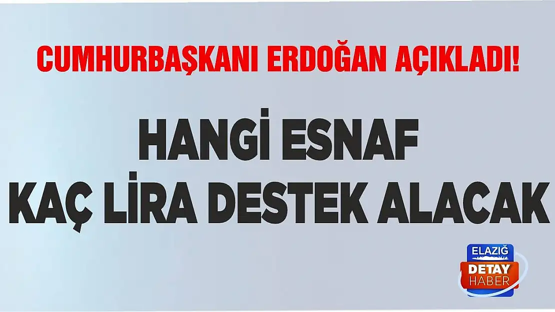 Hangi esnaf kaç lira destek alacak!