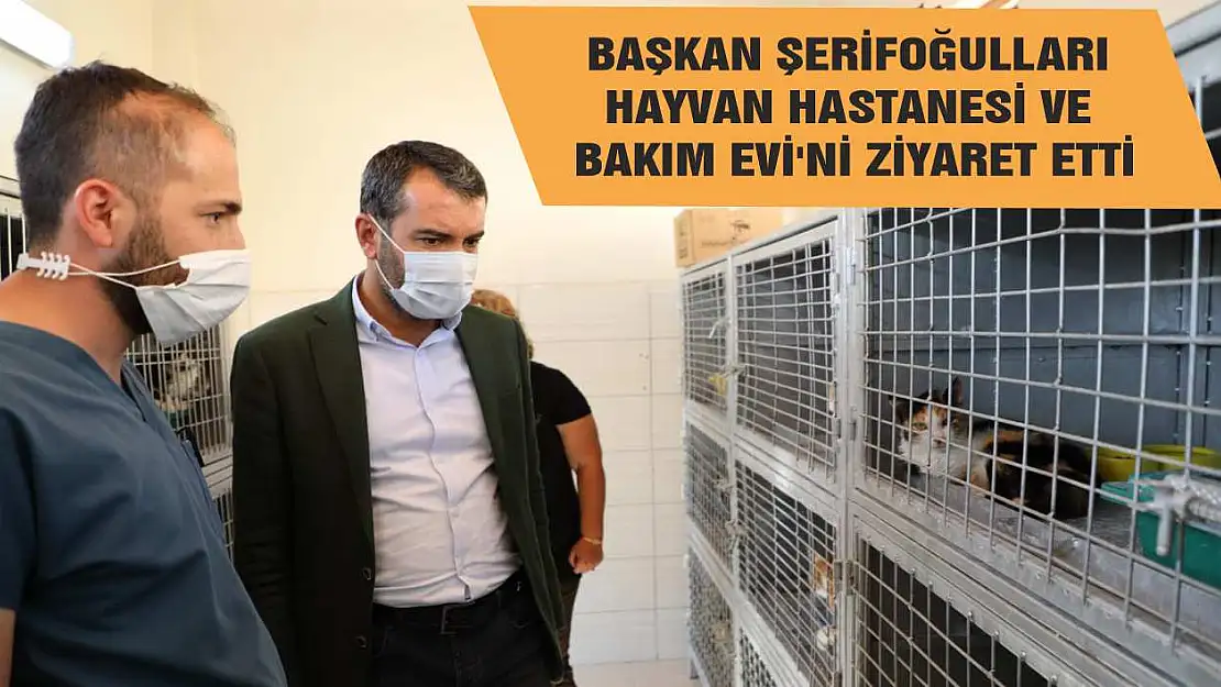 Başkan Şerifoğulları Hayvan Hastanesi Ve Bakım Evi'ni Ziyaret Etti