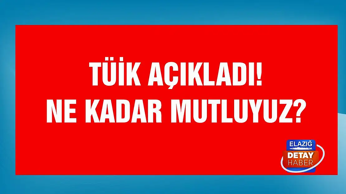 TÜİK Açıkladı! Ne Kadar Mutluyuz?