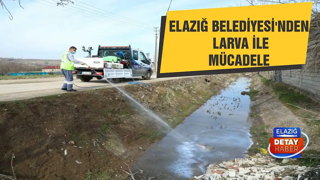 Elazığ Belediyesi'nden Larva İle Mücadele