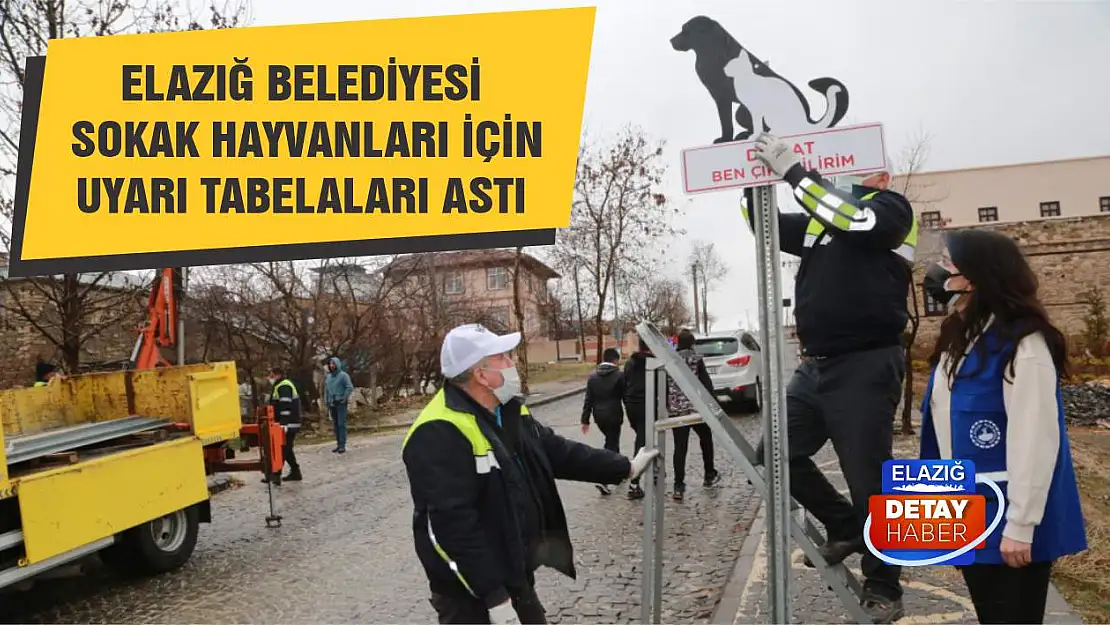  Elazığ Belediyesi, Sokak Hayvanları İçin Uyarı Tabelaları Astı