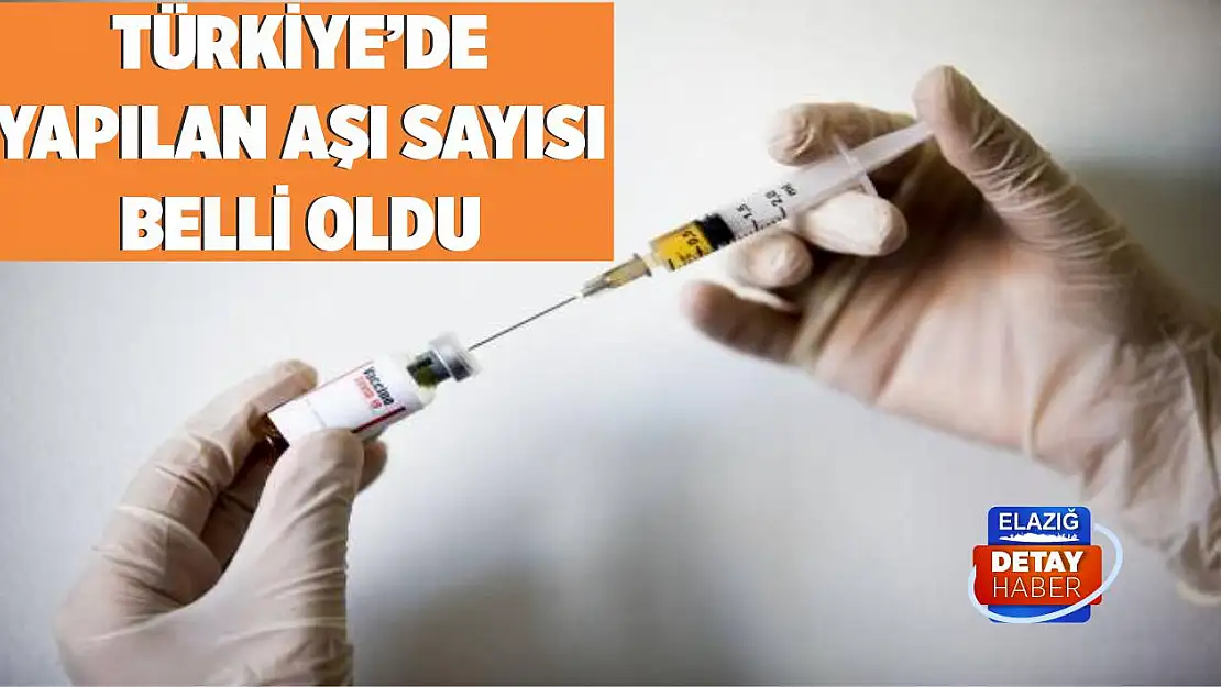 Türkiye'de yapılan aşı sayısı 10 milyonun üzerinde