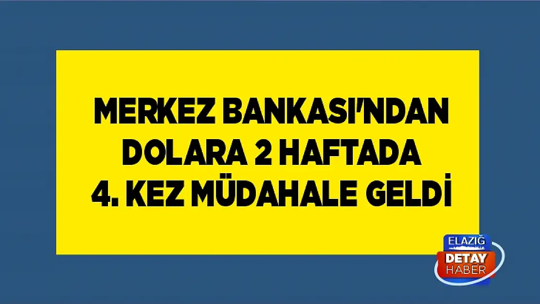 Merkez Bankası'ndan dolara 2 haftada 4. kez müdahale geldi