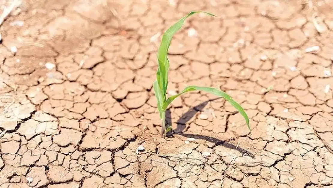 Meteorolojiden Elazığ için güzel haber 