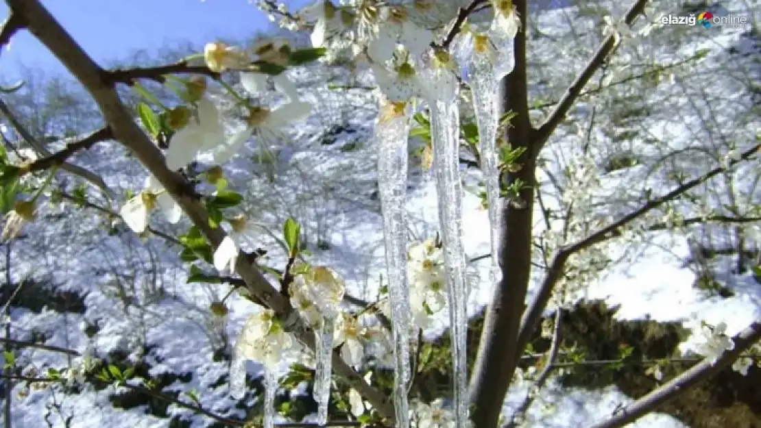 Meteorolojinin uyarısı sürüyor 