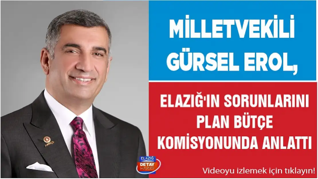 Milletvekili Gürsel Erol, Elazığ'ın sorunlarını Plan Bütçe Komisyonu'nda anlattı 