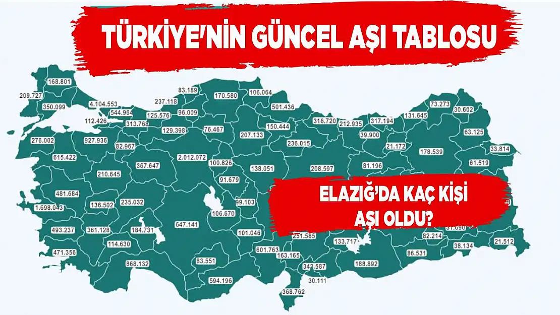 Türkiye'nin güncel aşı tablosu