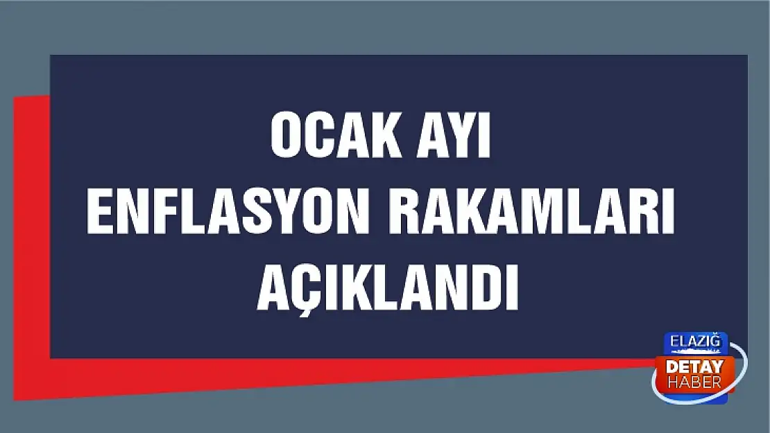 Ocak ayı enflasyon rakamları açıklandı