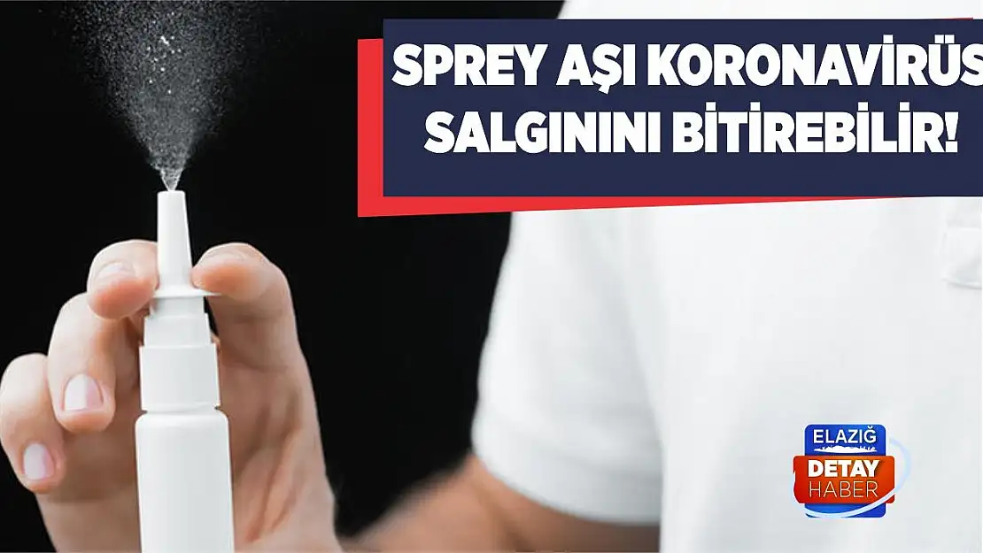 Sprey aşı koronavirüs salgınını bitirebilir!