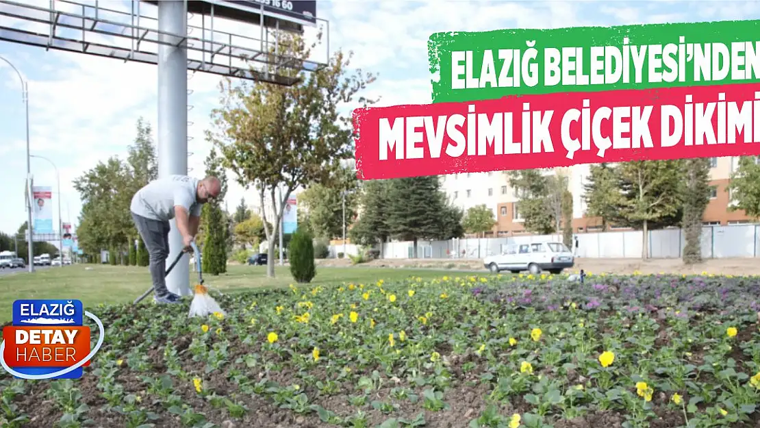 Elazığ Belediyesi'nden Mevsimlik Çiçek Dikimi