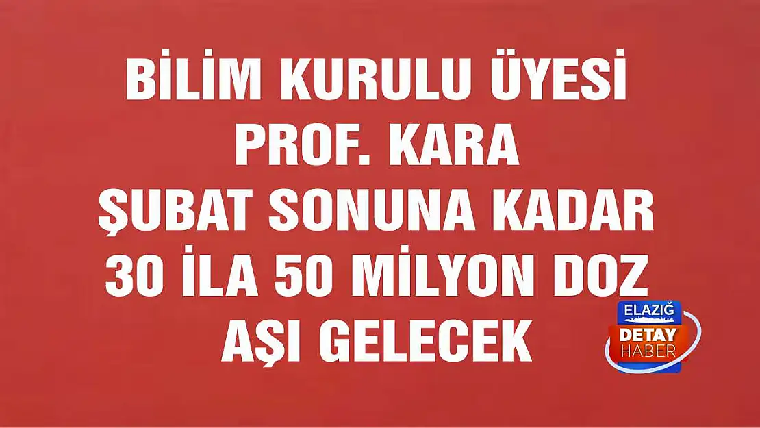 Bilim Kurulu Üyesi Prof. Kara Şubat Sonuna Kadar 30 İla 50 Milyon Doz Aşı Gelecek